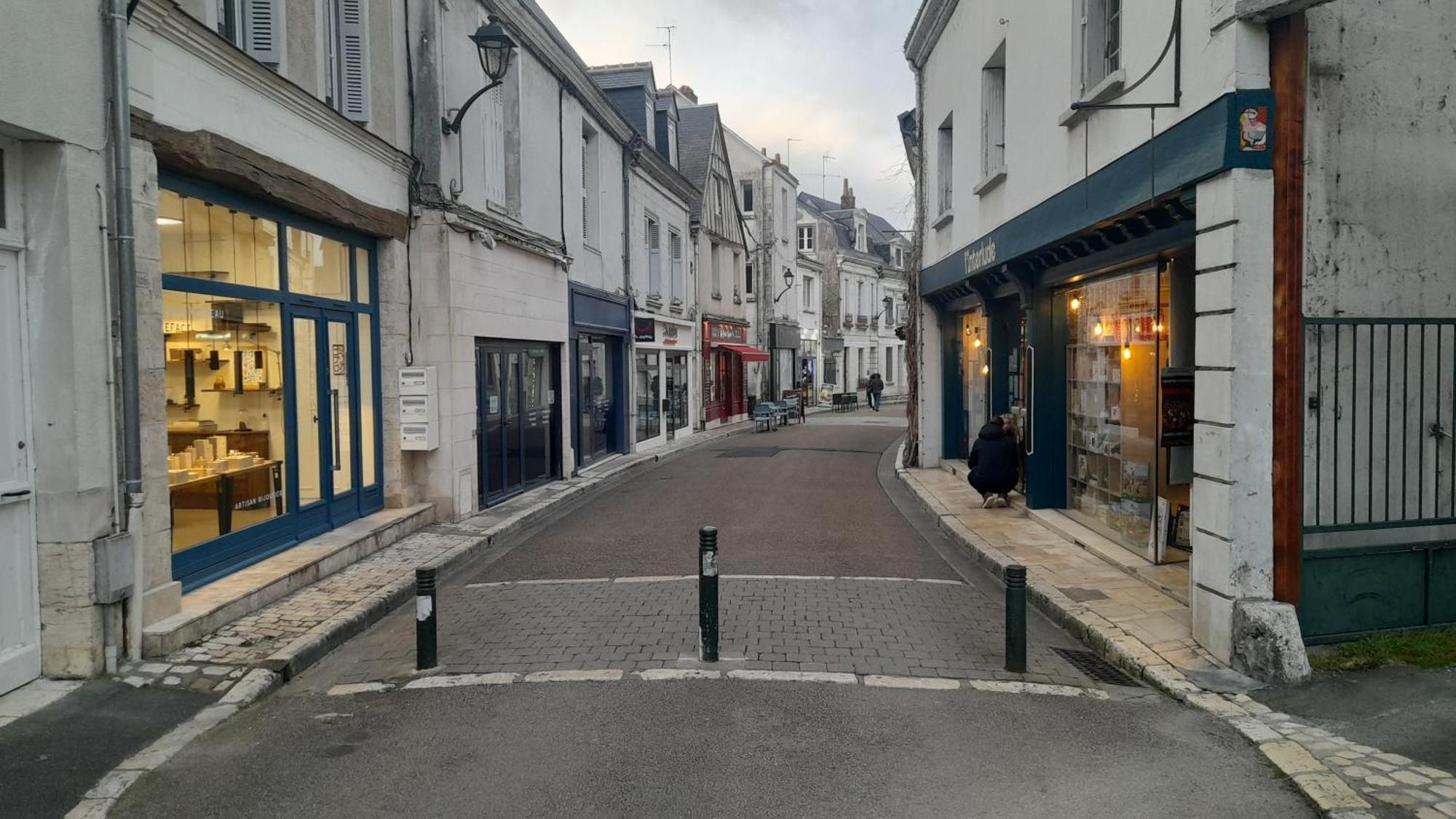 Escale Au Pied Du Chateau Amboise Bagian luar foto