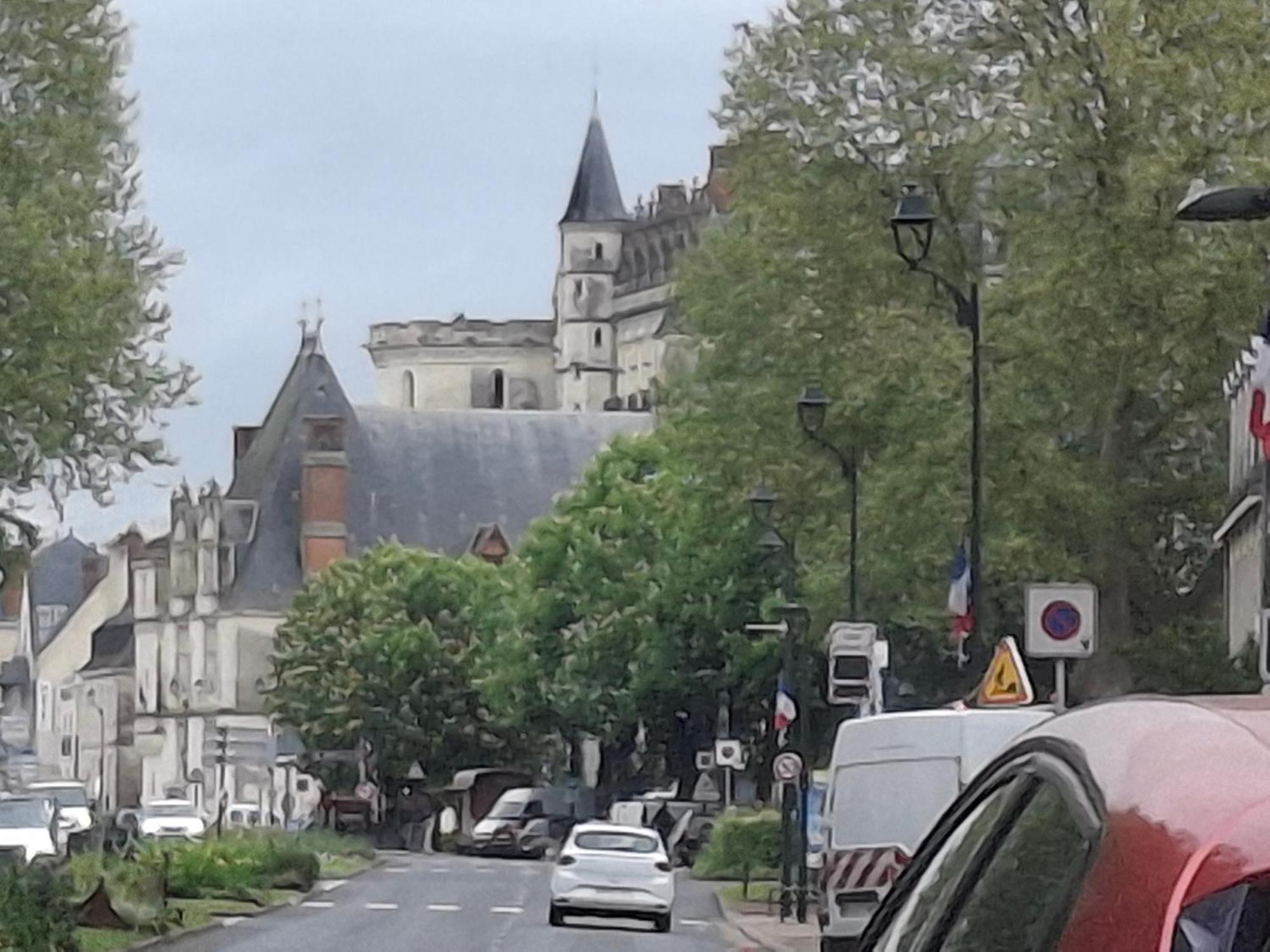 Escale Au Pied Du Chateau Amboise Bagian luar foto