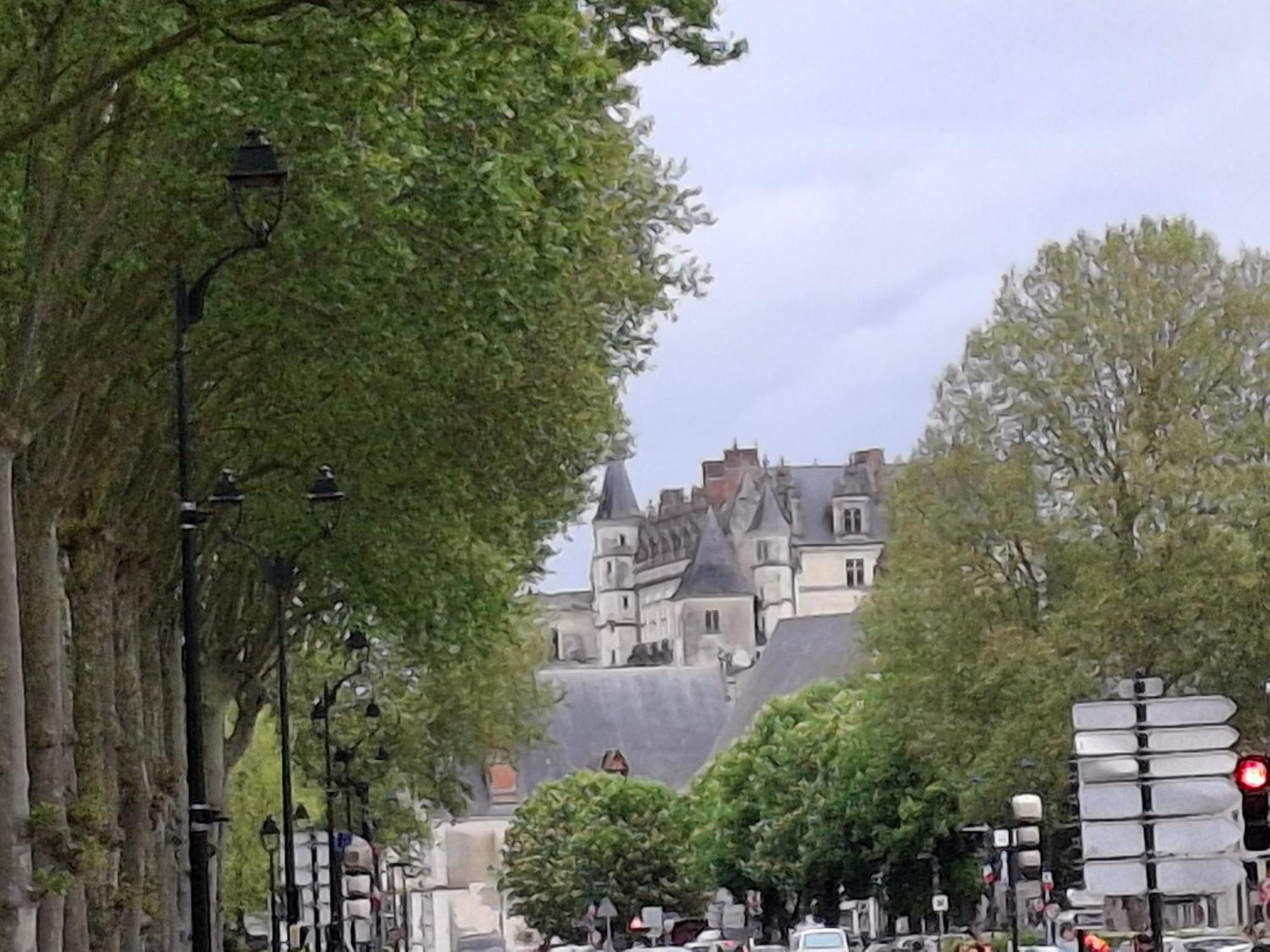Escale Au Pied Du Chateau Amboise Bagian luar foto